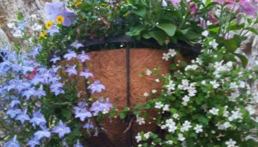 Delighful self catering in the heart of Glastonbury - Foto 5