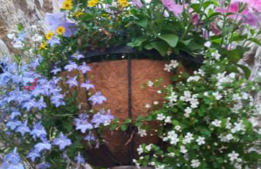 Delighful self catering in the heart of Glastonbury - Photo 5