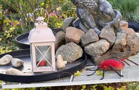 ZIELONY GAJ przy SOLINIE - Foto 7