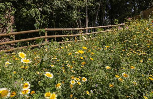 Stag Cottage - Photo 44