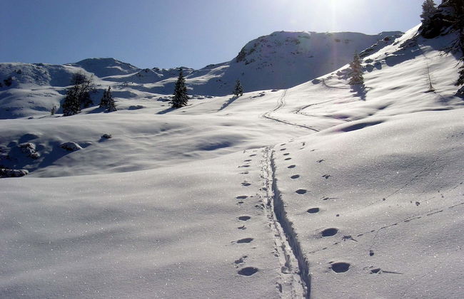 Bergjuwel - Photo 56