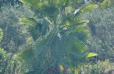 Luxury Home & Pool - Foto 7