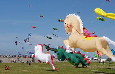 Ferienwohnung Baltrum auf dem Elisenhof Hagermarsch - Foto 28