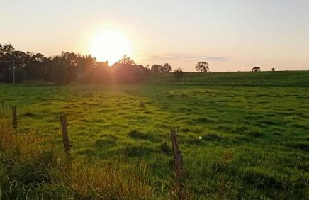 Magic Wood Studio Apartament Koniewo - Foto 11