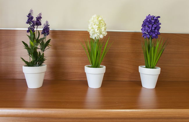 Velor Apartments - Photo 14