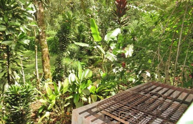 Mindo Eco chalet - Foto 44