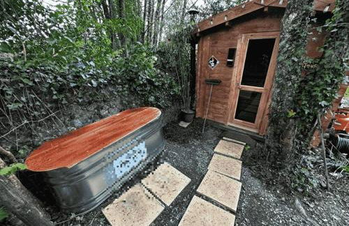 Retro Lodge nr Dartmoor with hot tub & opt sauna - Foto 3