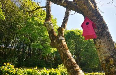 Gîtes du Bulz, en pleine forêt proche de la mer - Photo 52