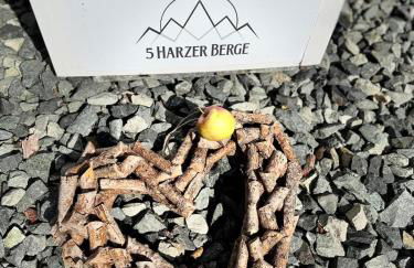 Fünf Harzer Berge. Rehberg - Foto 7