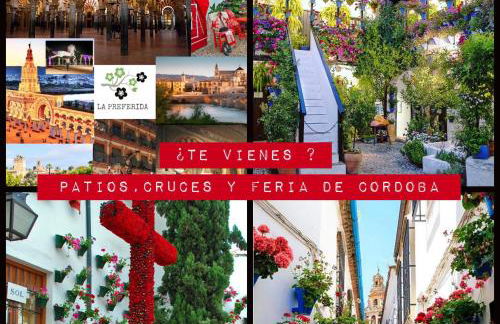 Centro Histórico Mezquita Judería La Preferida - Foto 30