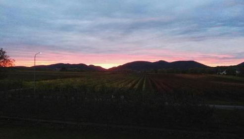Ferienwohnung Südpfalz mit Balkon & Weinbergblick - Valley SÜW - Foto 5