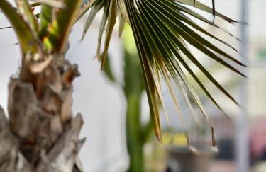 La Terraza de Porvenir 10 - Jerez de la Frontera - Foto 33