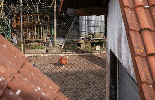 Ferienwohnung Obere Alm - Photo 22