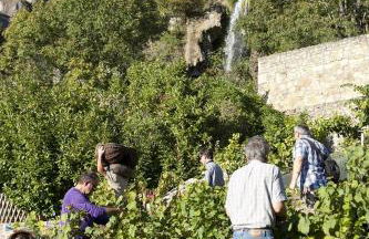 Gîte des Conquettes - Photo 25