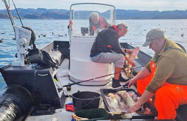 7 Person Holiday Home in Jarfjord-by Traum - Photo 20