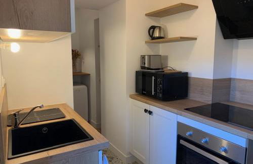 Le RoseGarden Studio au pied de la Gare de Rennes - Foto 8