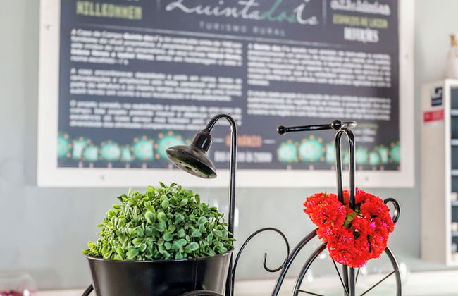 Quinta dos Is - Foto 28