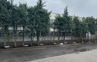 Schöne Apartments I Kostenloses Parken I home2share - Photo 67