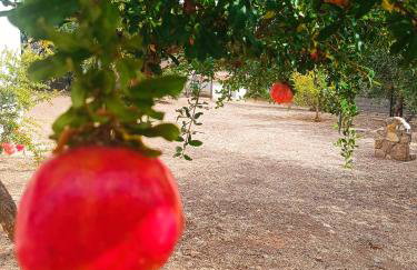 Grandmas Cottage - Photo 34