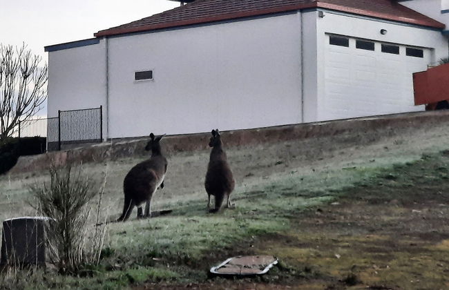 The Darling of Marina - A Hilltop and Sea Getaway - Foto 20