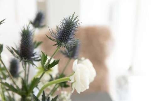 Ferienwohnung Am Stadtpark - Foto 3