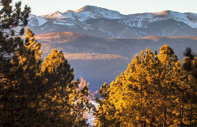 Mountain Meadows - Foto 21