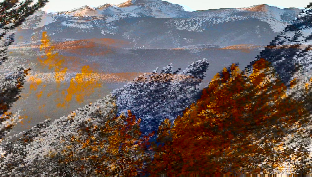 Mountain Haven - Photo 1, Primary image