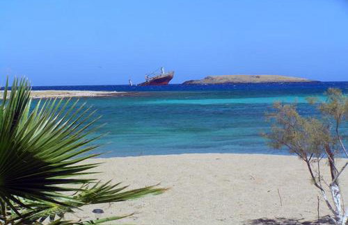 SempreViva Sea Houses - Foto 25