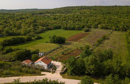 Spignoviza - Foto 55