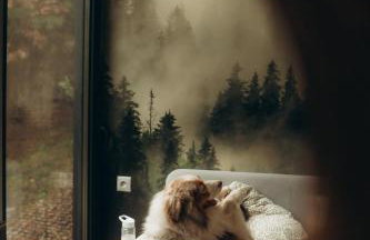 Charszówka - Foto 19