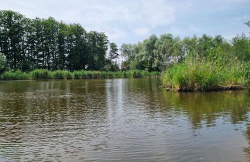 Haus Kabelitz - Photo 42