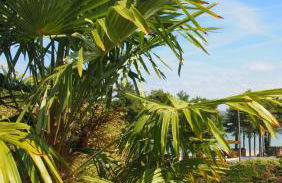 Belle villa à 150m de la plage. - Photo 31