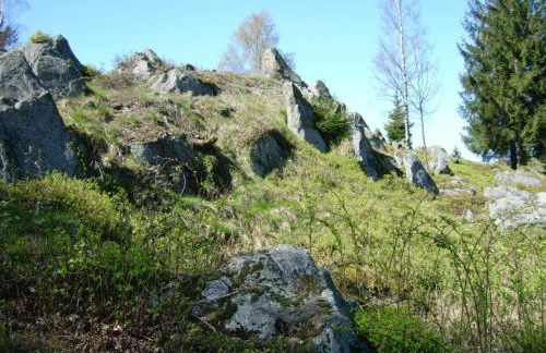 Ferienhaus in der Nähe der Skipiste - Foto 17