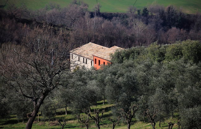 Agriturismo Segnavento - Zaccagnini - Foto 51