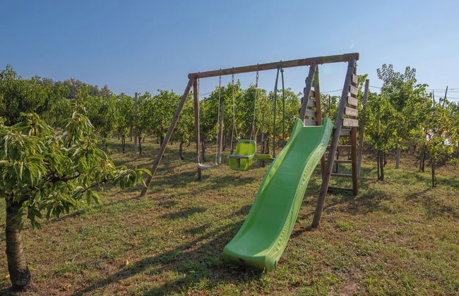 Vineyard Cottage Brodaric - Foto 21