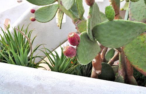 Casa BelMar - Foto 37