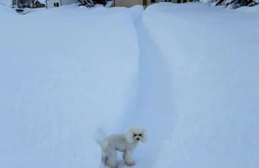 Dany Lodge Livigno - Foto 49