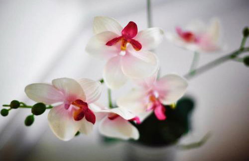 Cozy and Stylish with A-C in City Center! - Foto 10