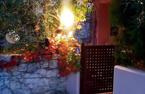 Magic Mola - Foto 23