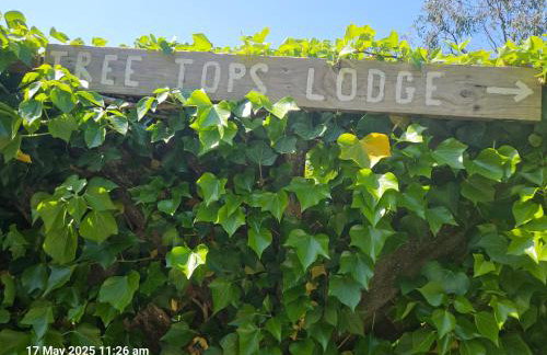Treetops Lodge, private Cornish hideaway, parking, garden - Foto 68
