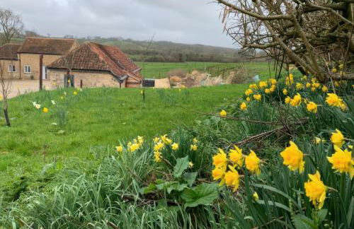 Swallows Nest - Photo 32