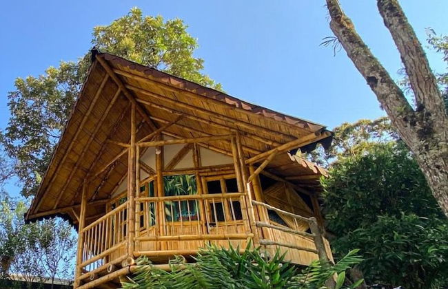 Hostería El Sendero Cocorná - Foto 25