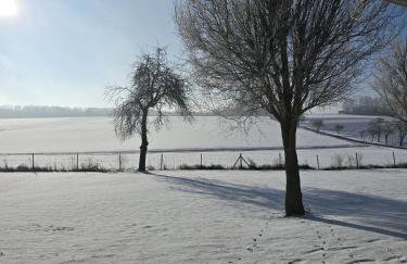 Landhaus Paco Ferienhaus für 12 Personen mit Alpakas, Sauna & Kamin - Foto 30