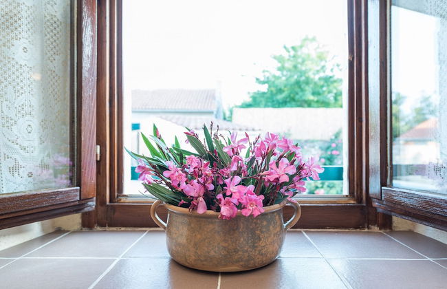 Villa Petrovi Dvori - Foto 27