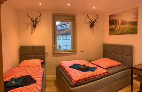 Hotel Waldhorn - Foto 16