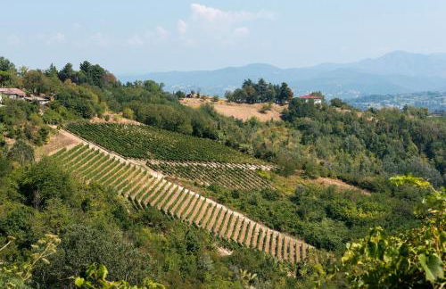 Casa Vacanza Tra Vigneti E Mura - Foto 2