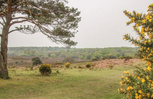 Orchard Annexe - Photo 21