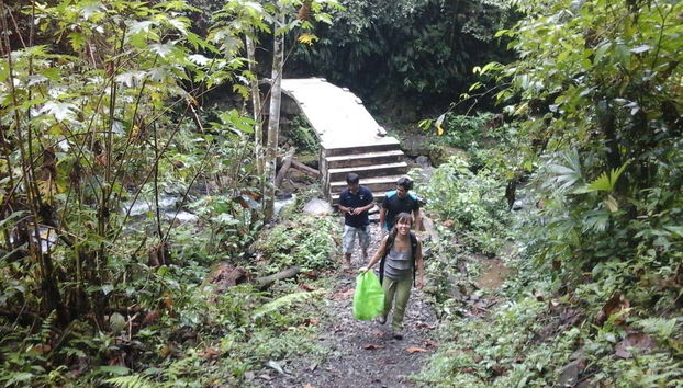 Caminhando pelas trilhas da selva