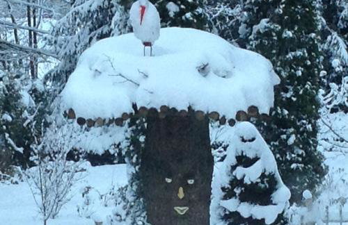 Agroturystyka u Psotki - Foto 21