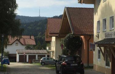 Ferienland Sonnenwald Fewo 46 - Foto 13